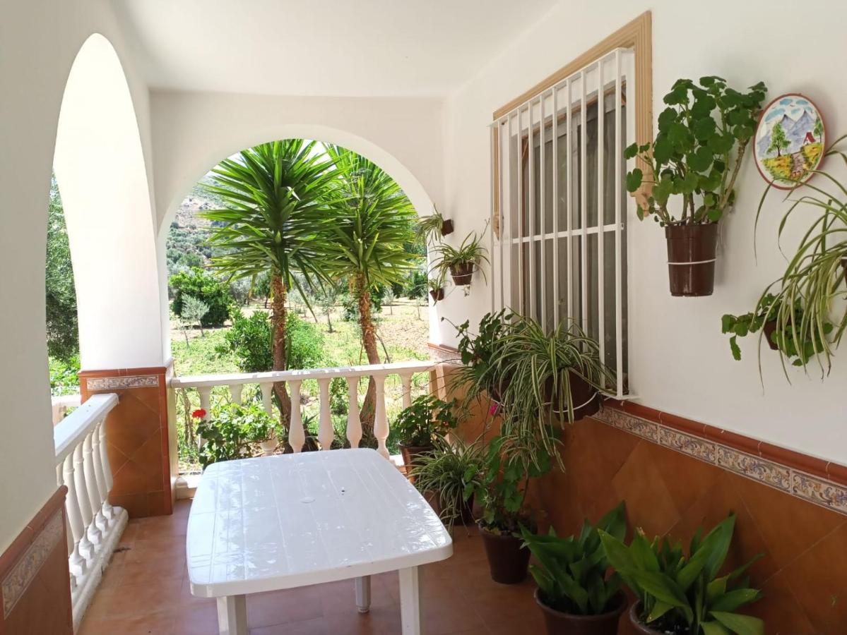 Casa Las Vicarias Olvera Exteriör bild